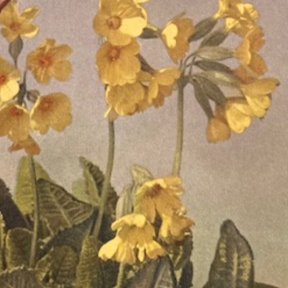 Welcome & Happy Poshing💫